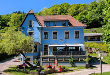 Gîte Le Tilleul Bleu à Wildersbach — fête privée en Alsace